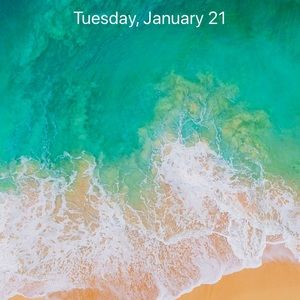 Meet your Posher, Eddie